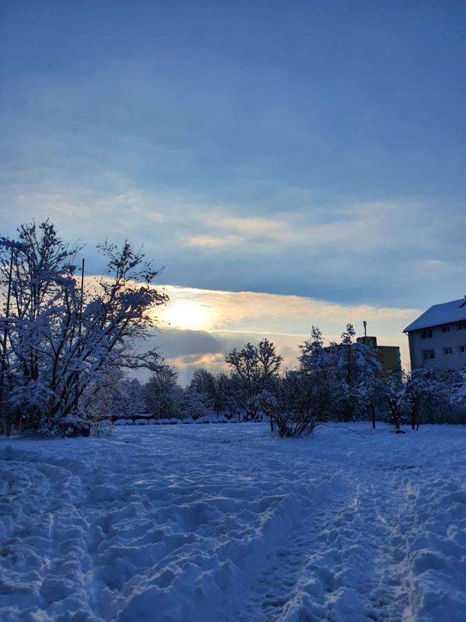 Wohnung Im Schwarzwald Mit Panorama Blick Kleines Wiesental Εξωτερικό φωτογραφία