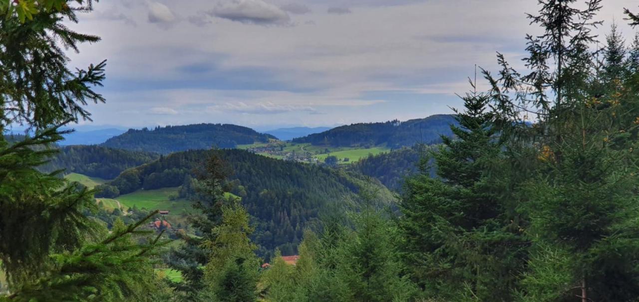 Wohnung Im Schwarzwald Mit Panorama Blick Kleines Wiesental Εξωτερικό φωτογραφία