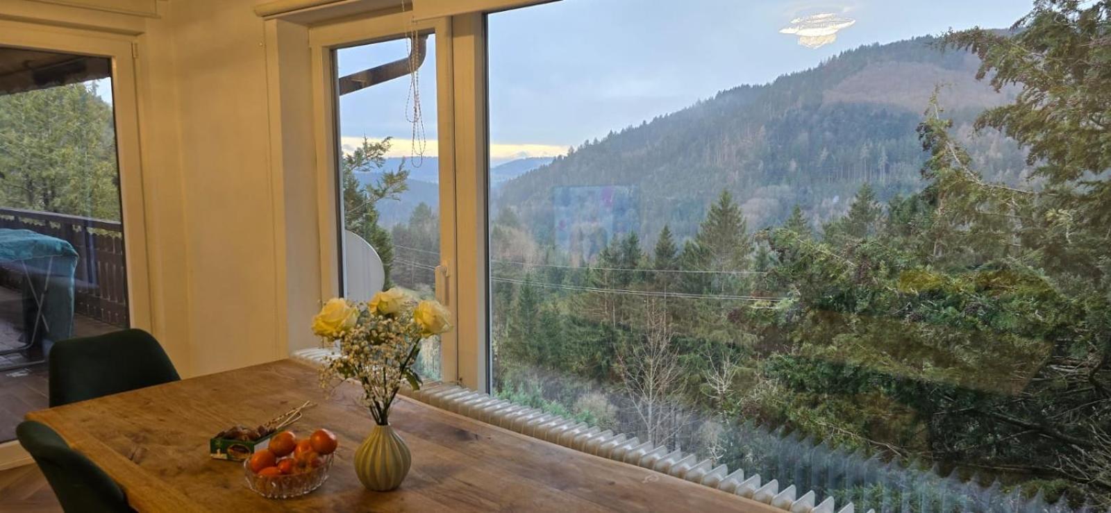 Wohnung Im Schwarzwald Mit Panorama Blick Kleines Wiesental Εξωτερικό φωτογραφία