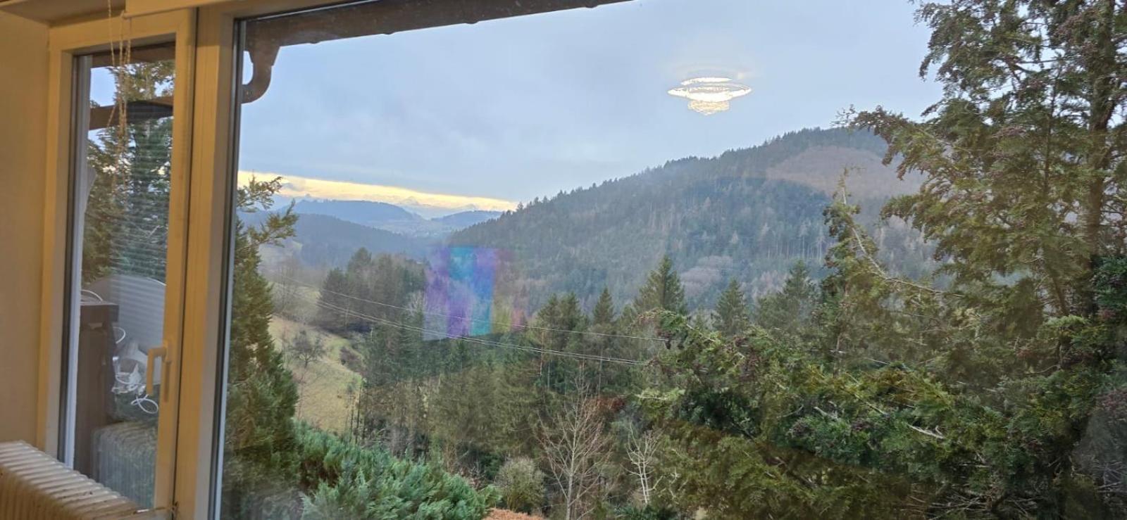 Wohnung Im Schwarzwald Mit Panorama Blick Kleines Wiesental Εξωτερικό φωτογραφία