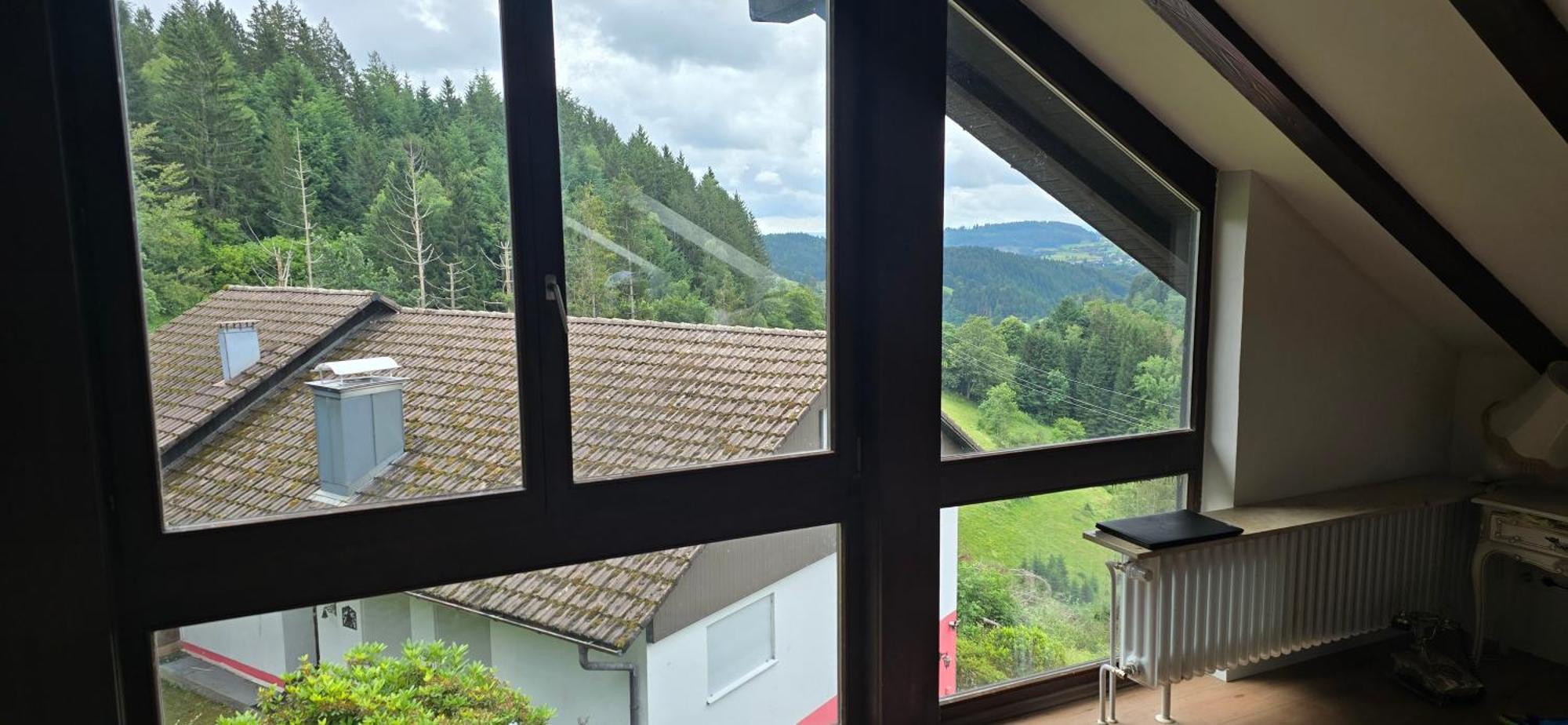 Wohnung Im Schwarzwald Mit Panorama Blick Kleines Wiesental Εξωτερικό φωτογραφία